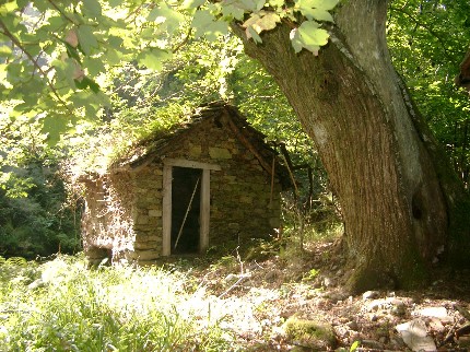 Establo tradicional en Asturias